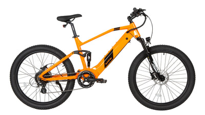 Eunorau E-Bike Defender