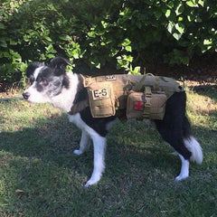 Echo-Sigma® “Dog Pack” Emergency Kit