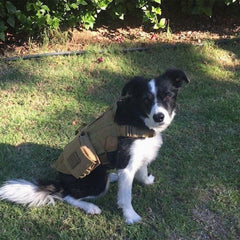 Echo-Sigma® “Dog Pack” Emergency Kit