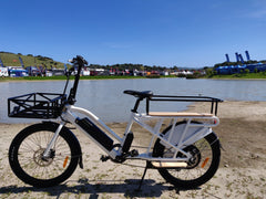 Eunorau E-Bike Max-Cargo