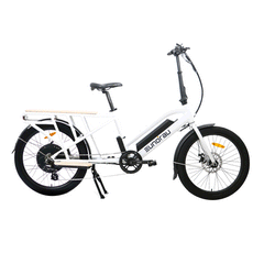 Eunorau E-Bike Max-Cargo