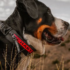 Uncharted Supply Co. The Wolf Pack