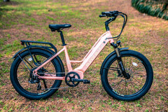 Eunorau E-Bike Meta