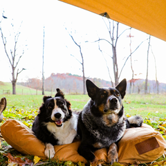 WhiteDuck Outdoors Sunshade tarp