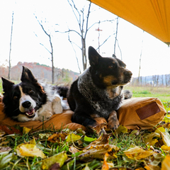 WhiteDuck Outdoors Sunshade tarp
